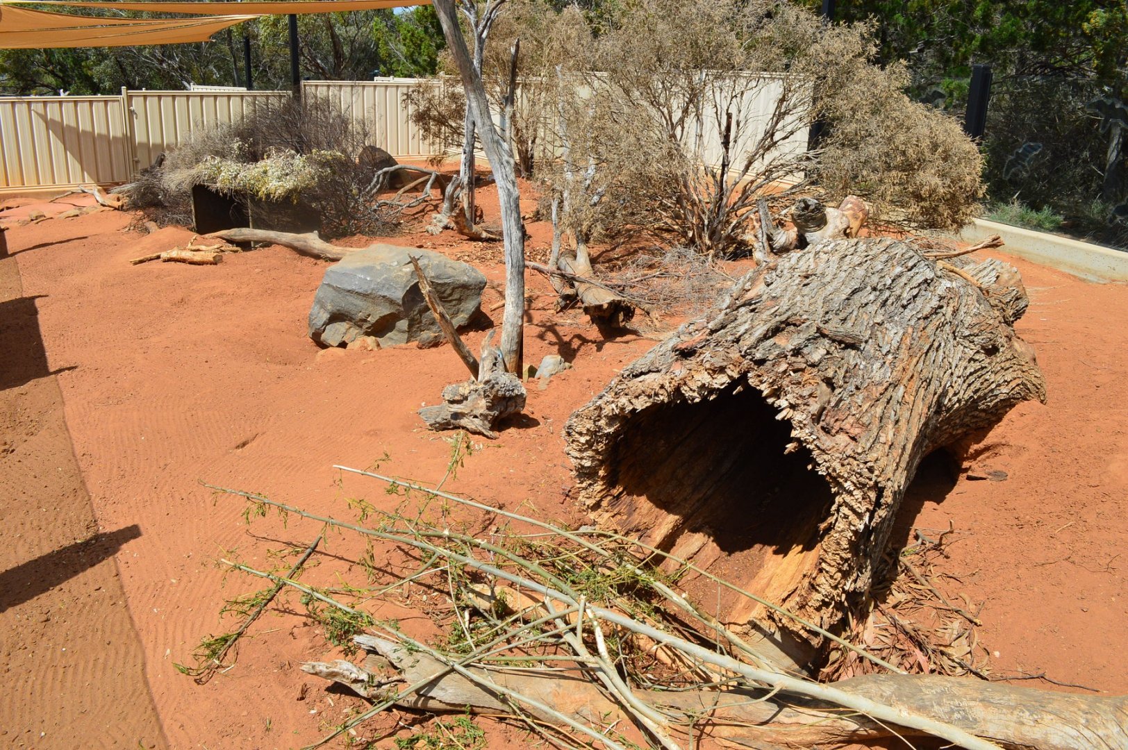 Porcupine Enclosure