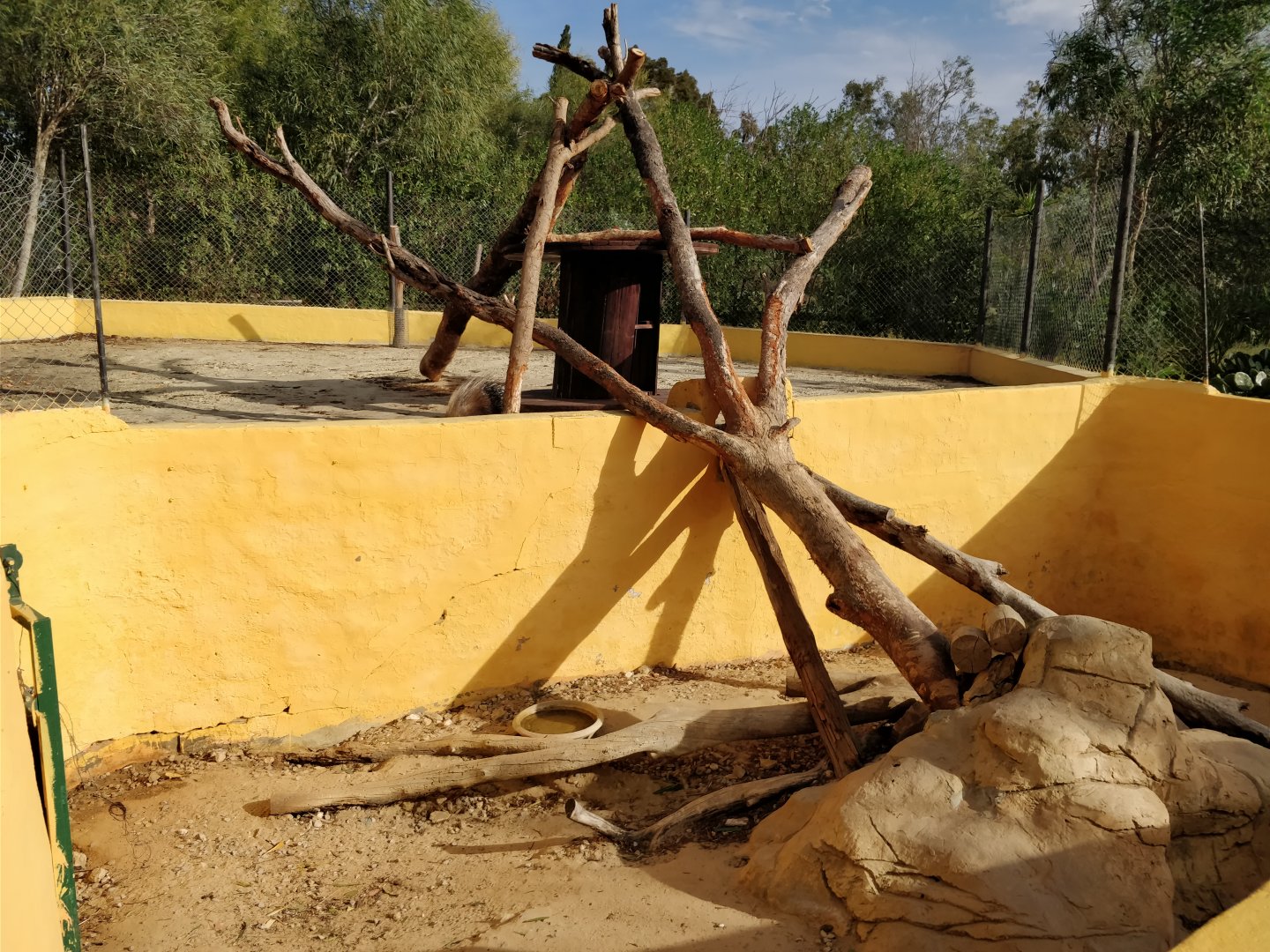 porcupine enclosure