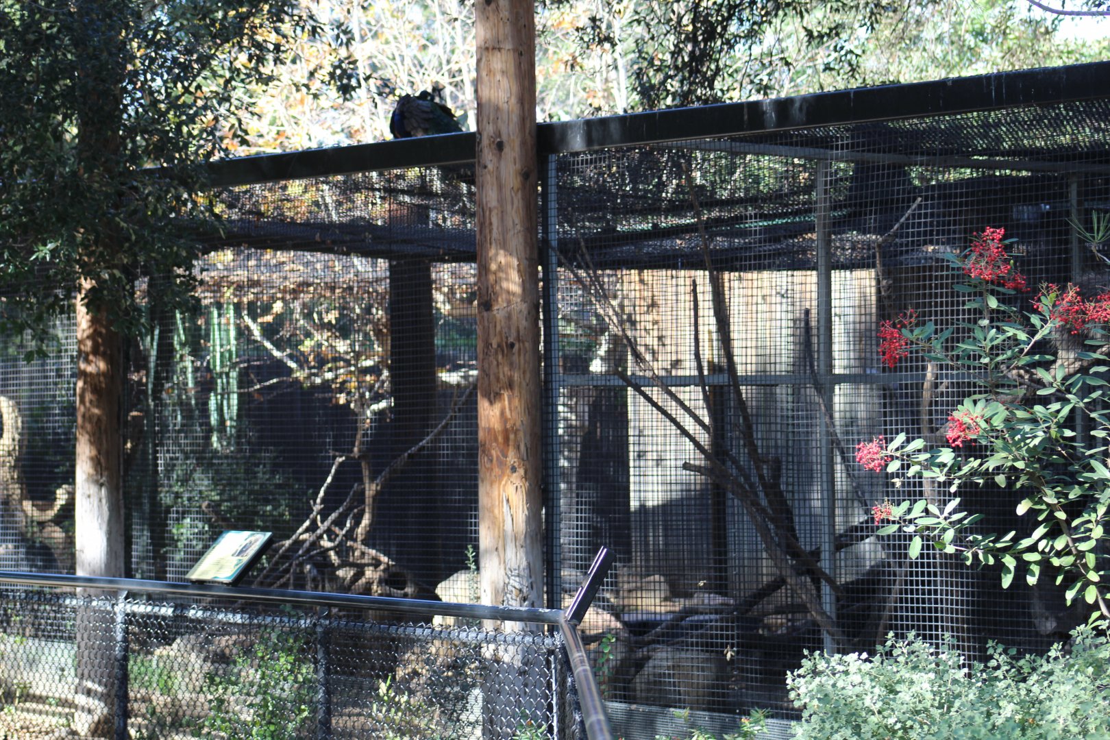 Porcupine Enclosure