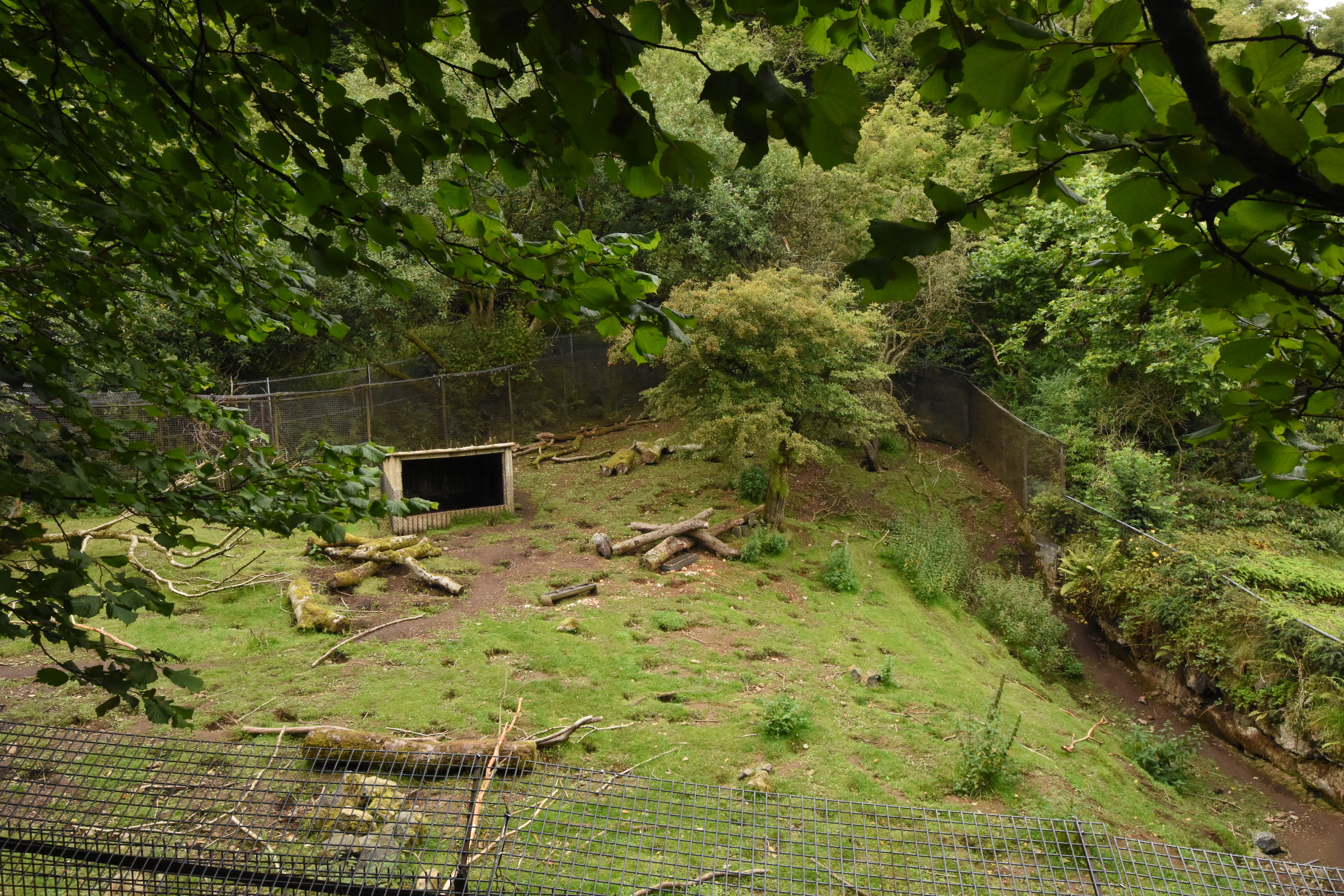 Porcupine enclosure