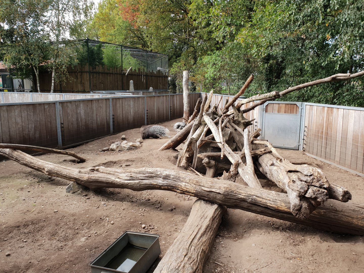 Porcupine-enclosure