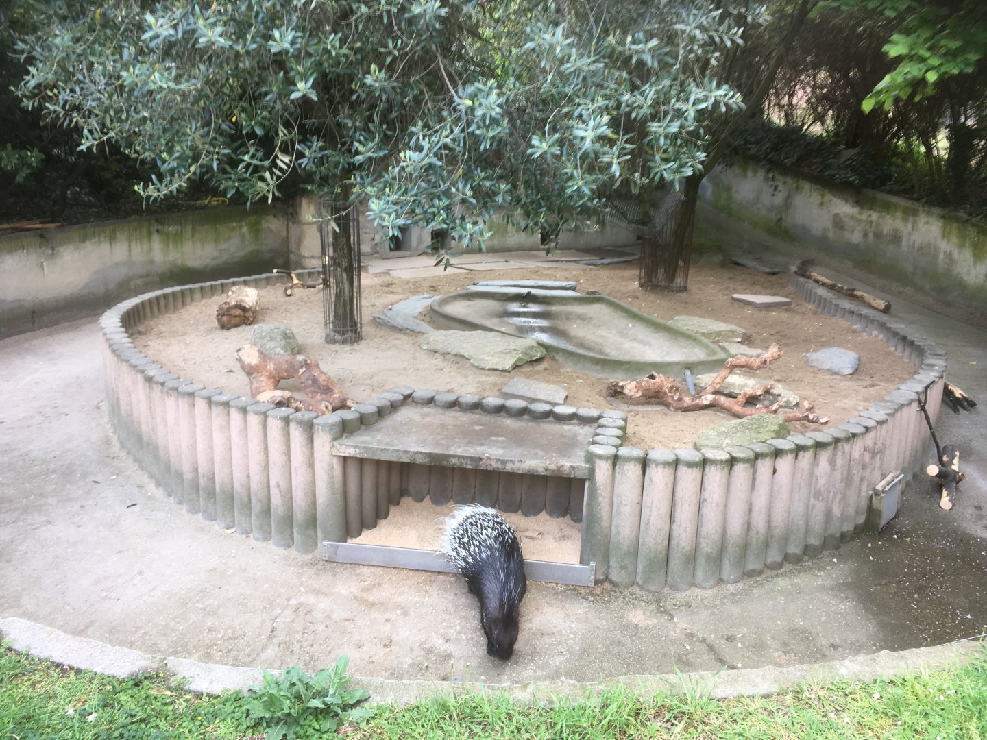 Porcupine enclosure
