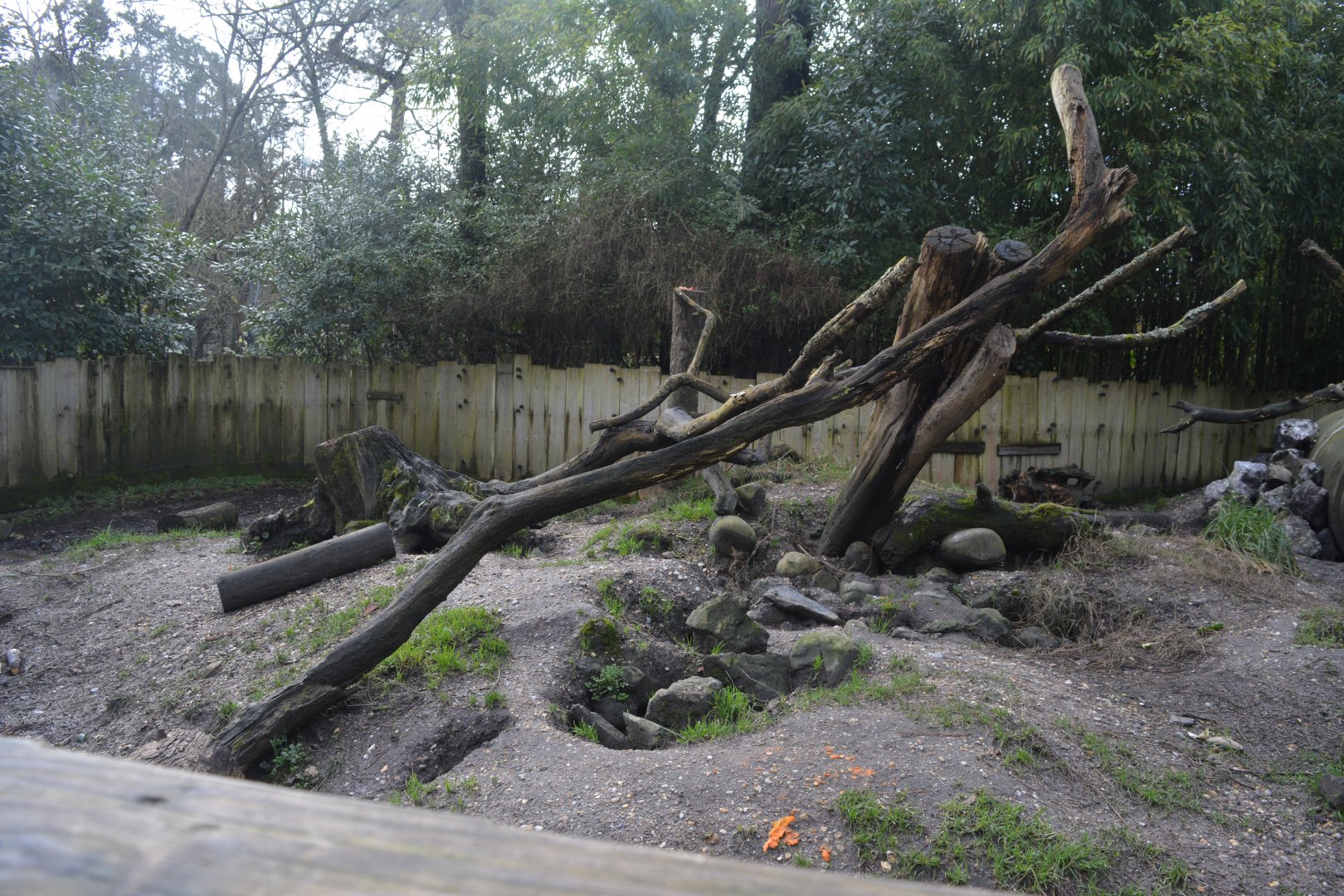 Porcupine enclosure