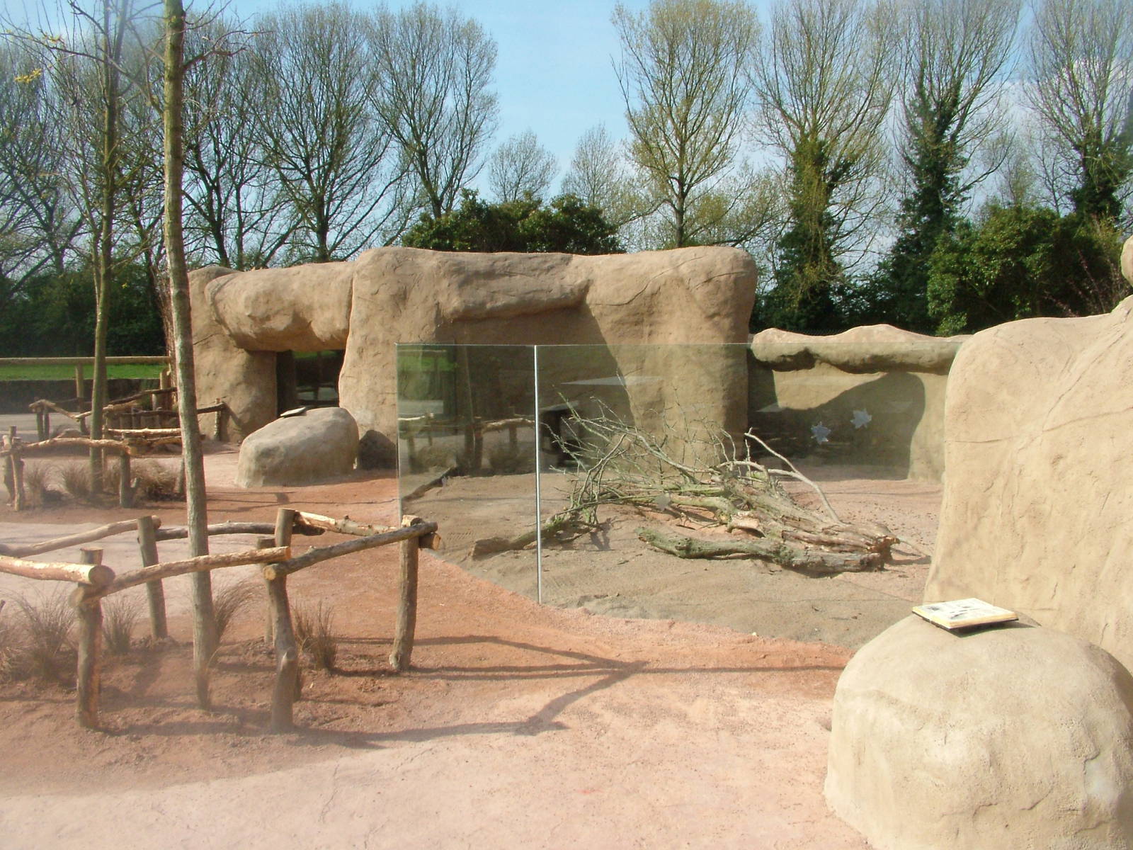 Porcupine Exhibit at Chester, 16/04/11