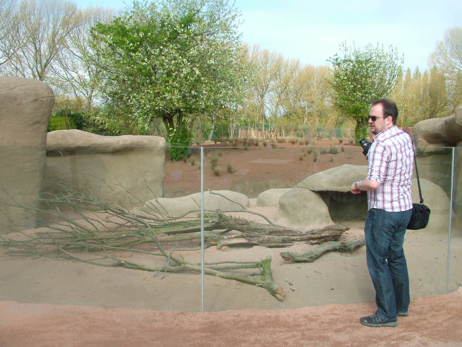 Porcupine Exhibit at Chester, 16/04/11
