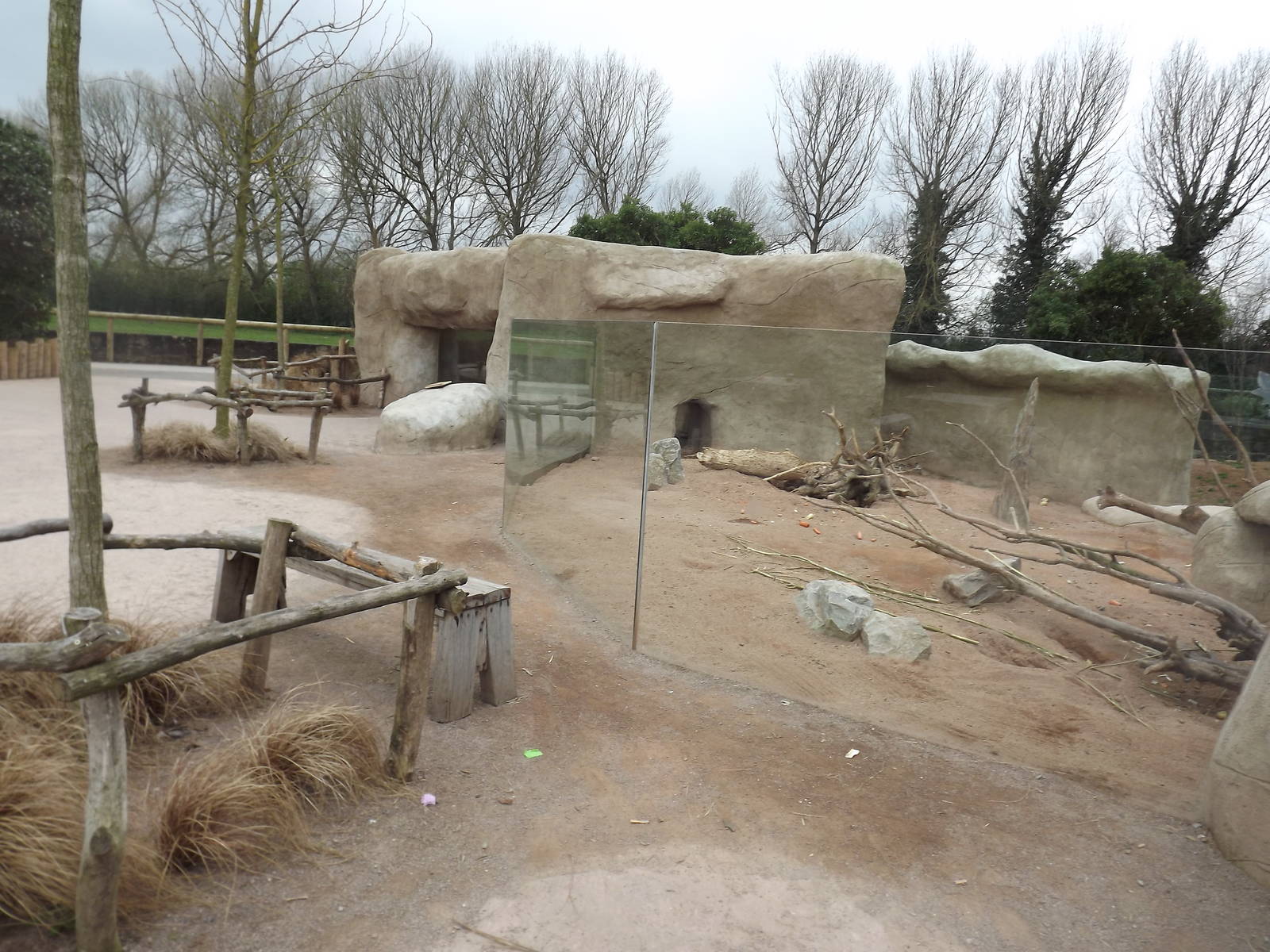 Porcupine exhibit at Chester Zoo 31/03/12