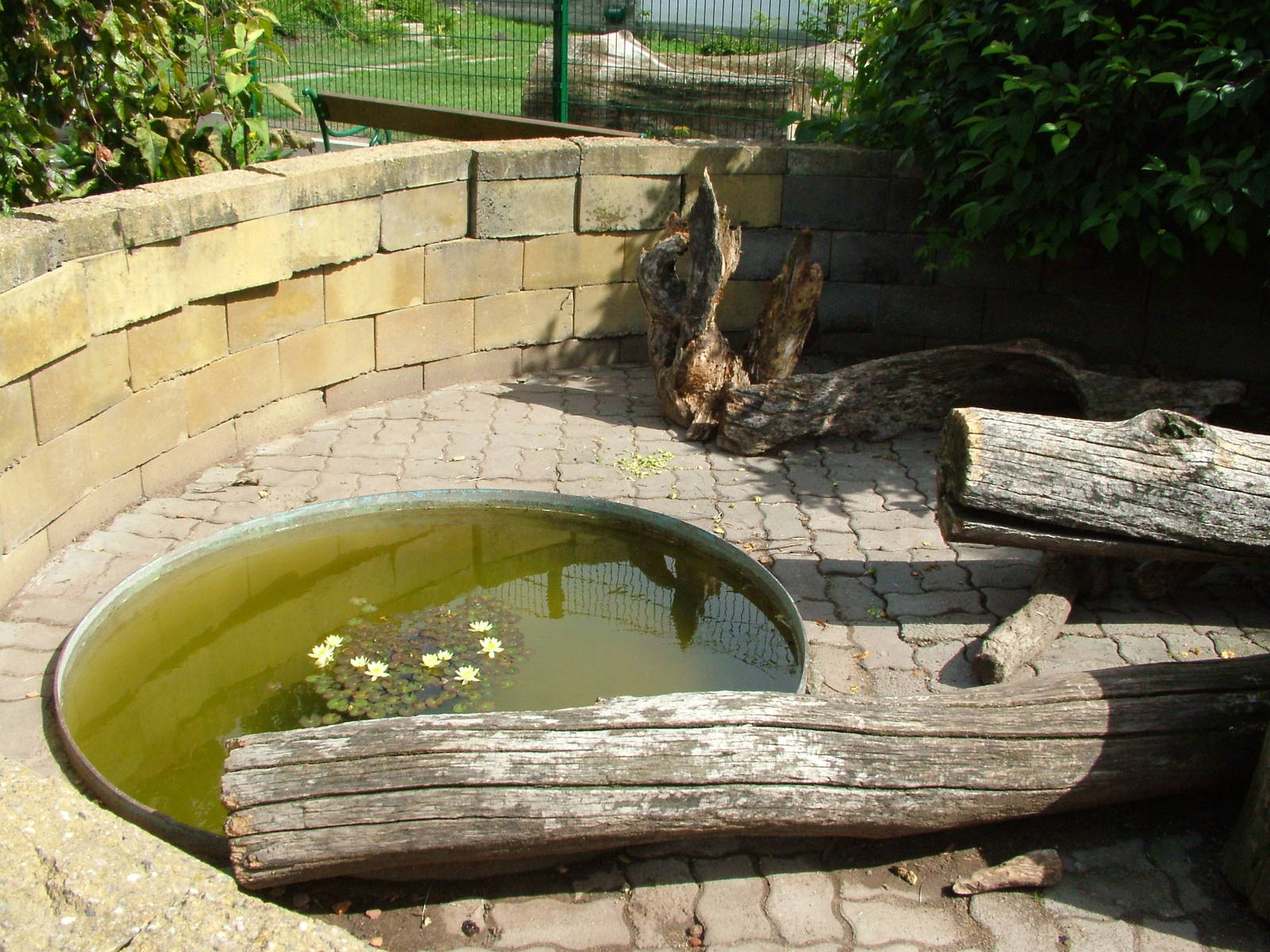 Porcupine Exhibit at Chleby, 26/08/12