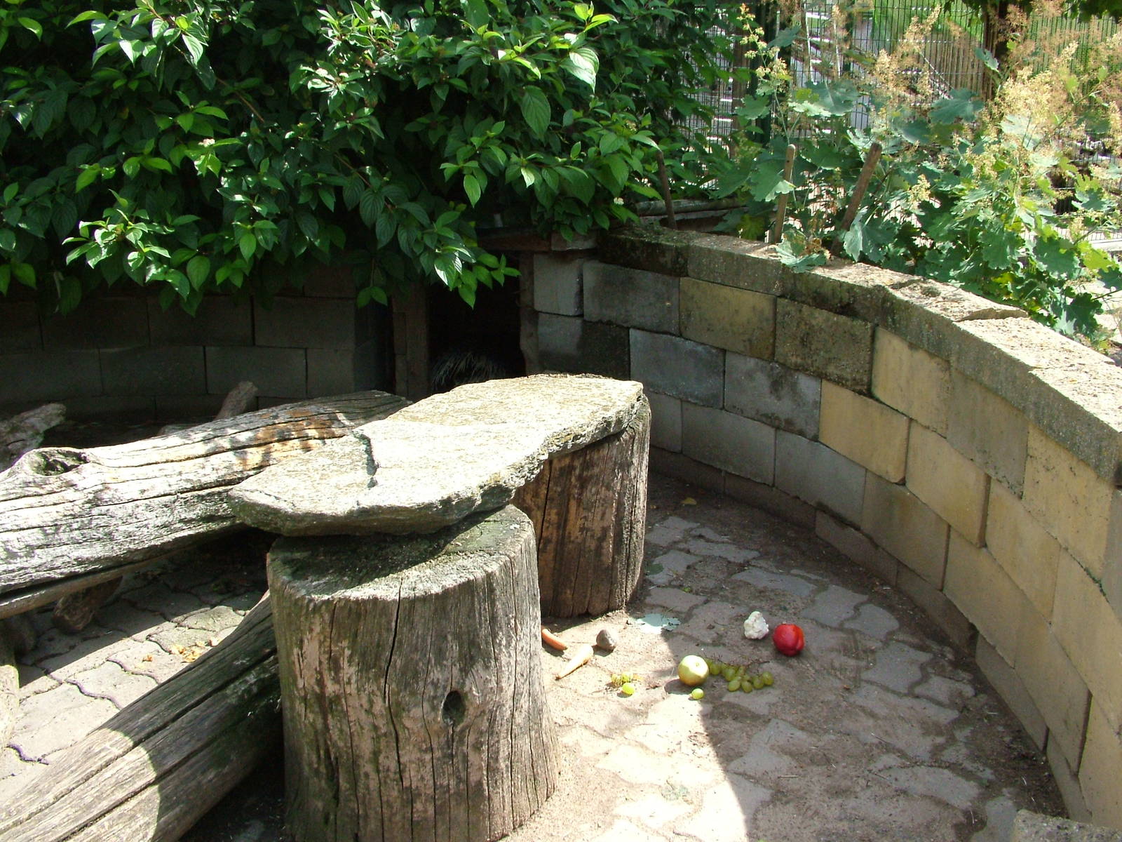 Porcupine Exhibit at Chleby, 26/08/12