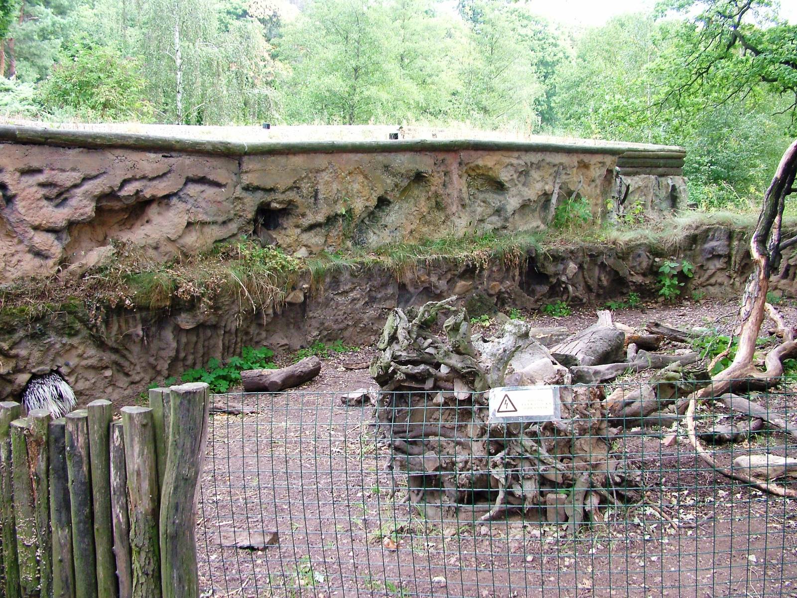 Porcupine Exhibit at Chomutov, 30/08/12