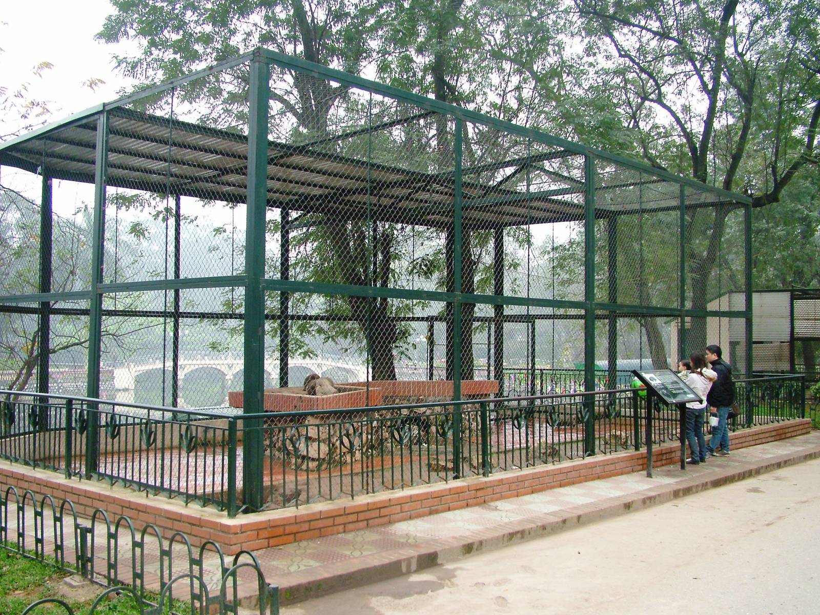 Porcupine Exhibit at Hanoi Zoo, 15/03/12