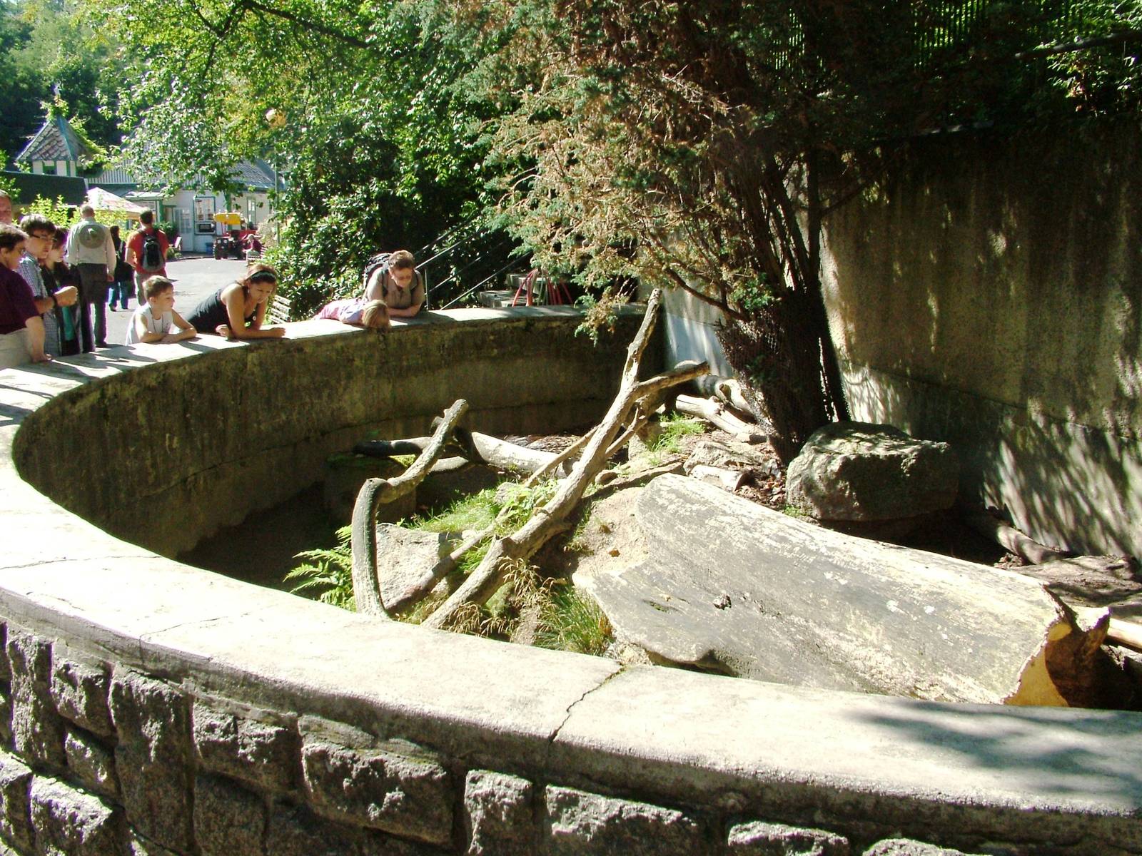 Porcupine Exhibit at Liberec, 28/08/12