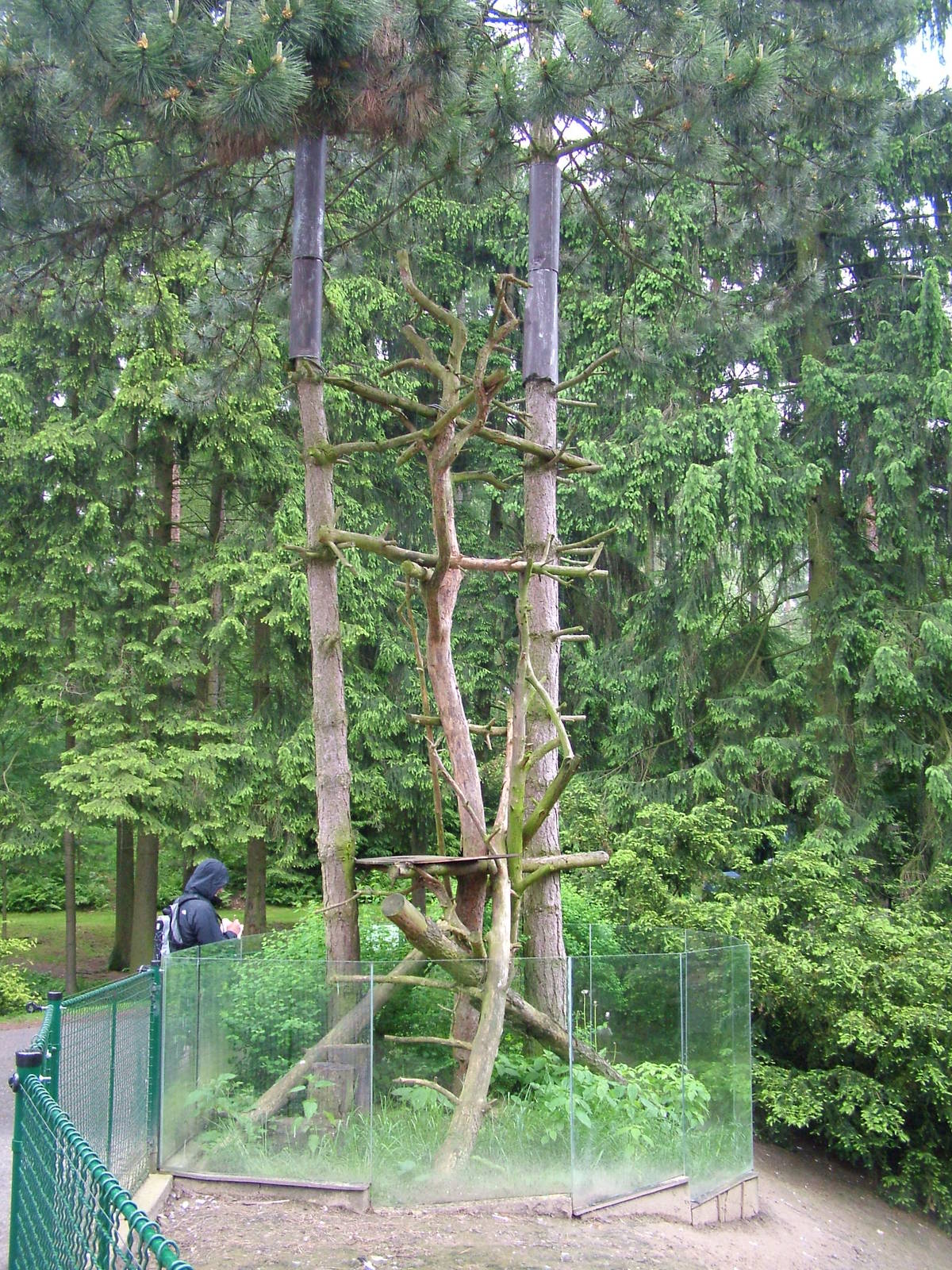 Porcupine exhibit at Olomouc 30/05/09