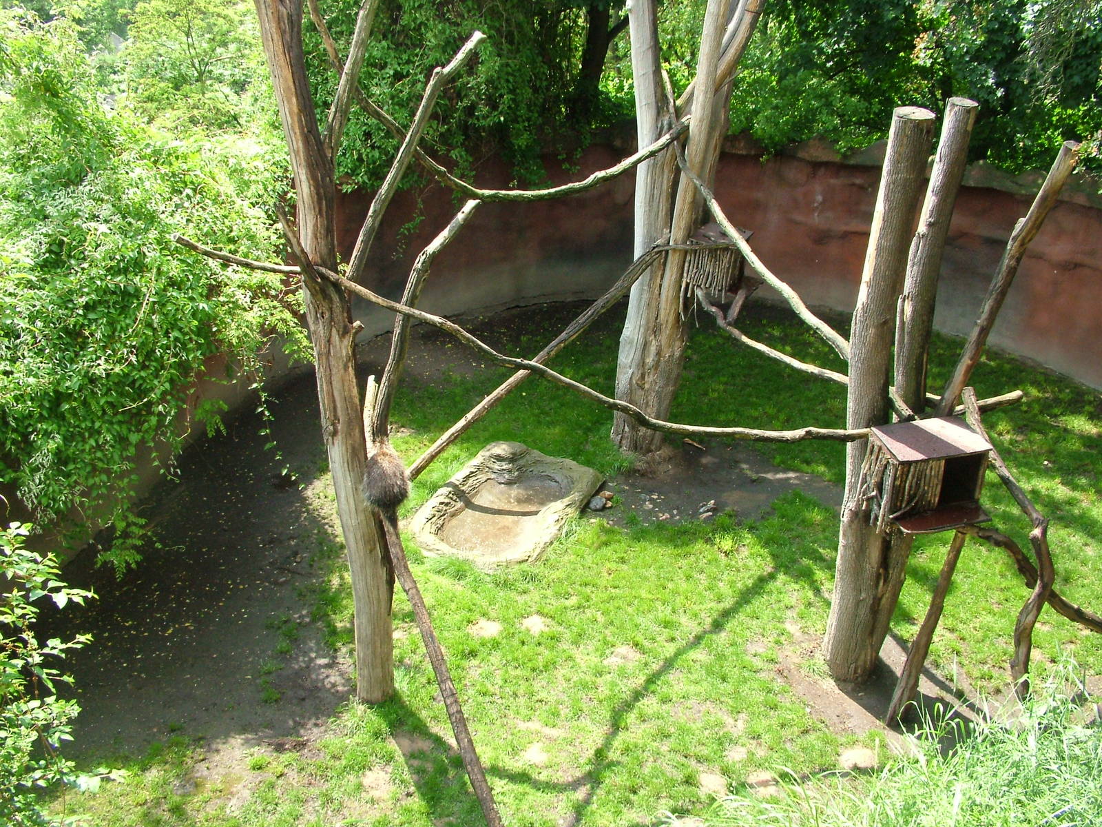 Porcupine exhibit at Prague, 24/05/10