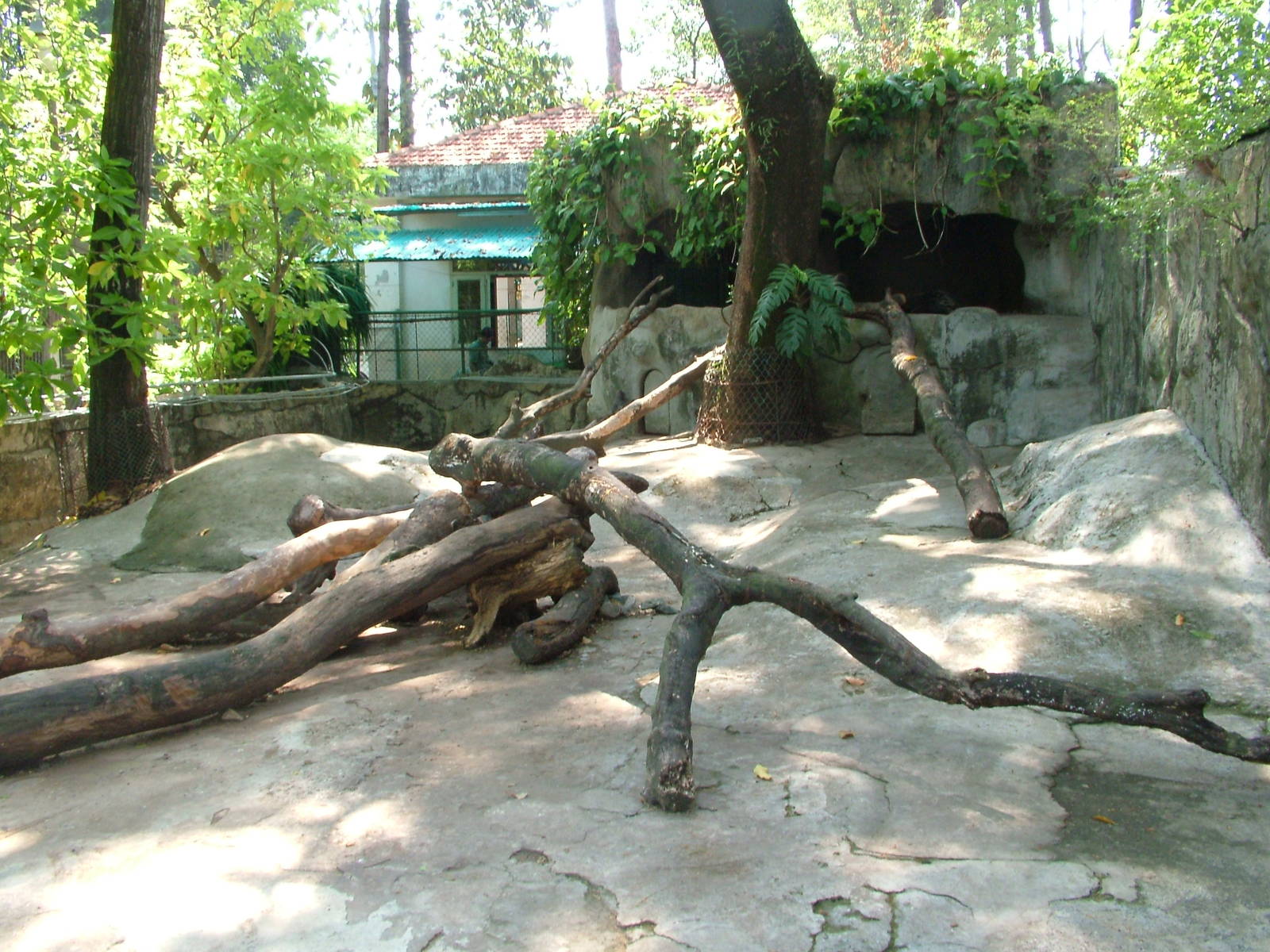 Porcupine Exhibit at Saigon Zoo, 16/03/12