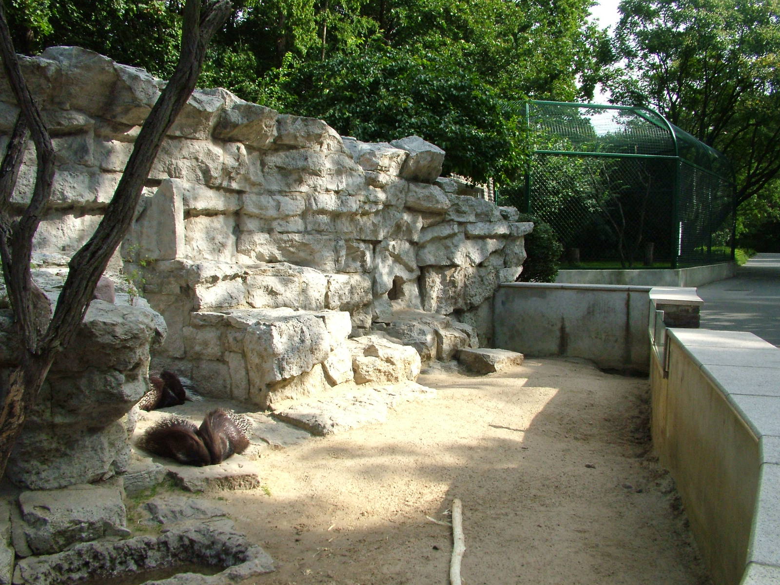 Porcupine Exhibit at Tierpark Berlin, 01/09/11