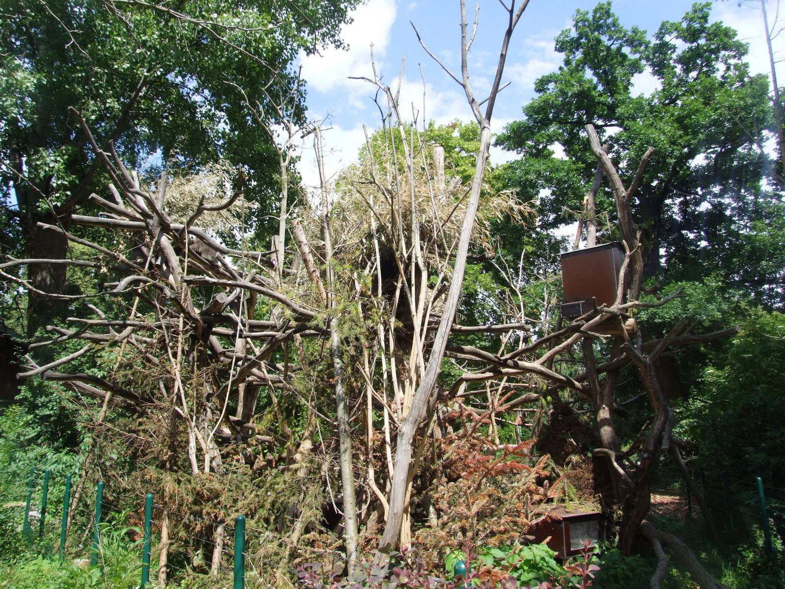 Porcupine Exhibit at Vienna, 14/06/13