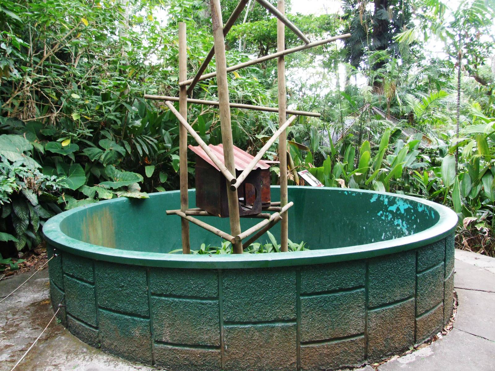 Porcupine Exhibit at Zoo Simon Bolivar, 12/04/14