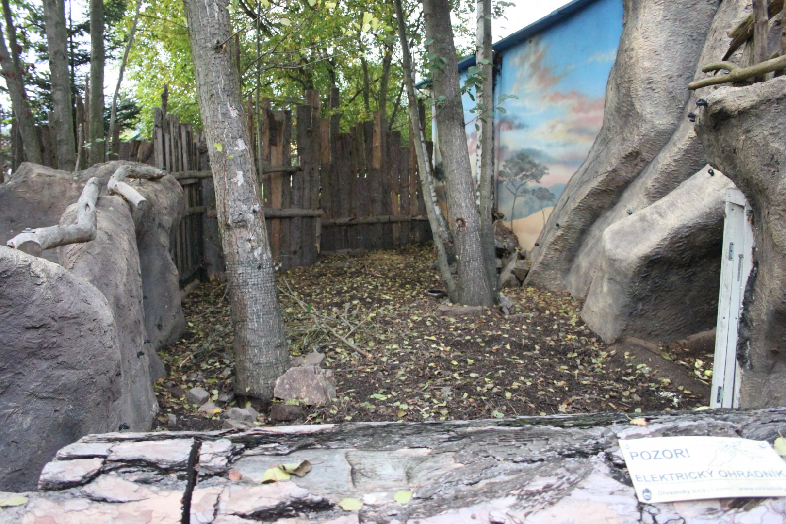 Porcupine exhibit
