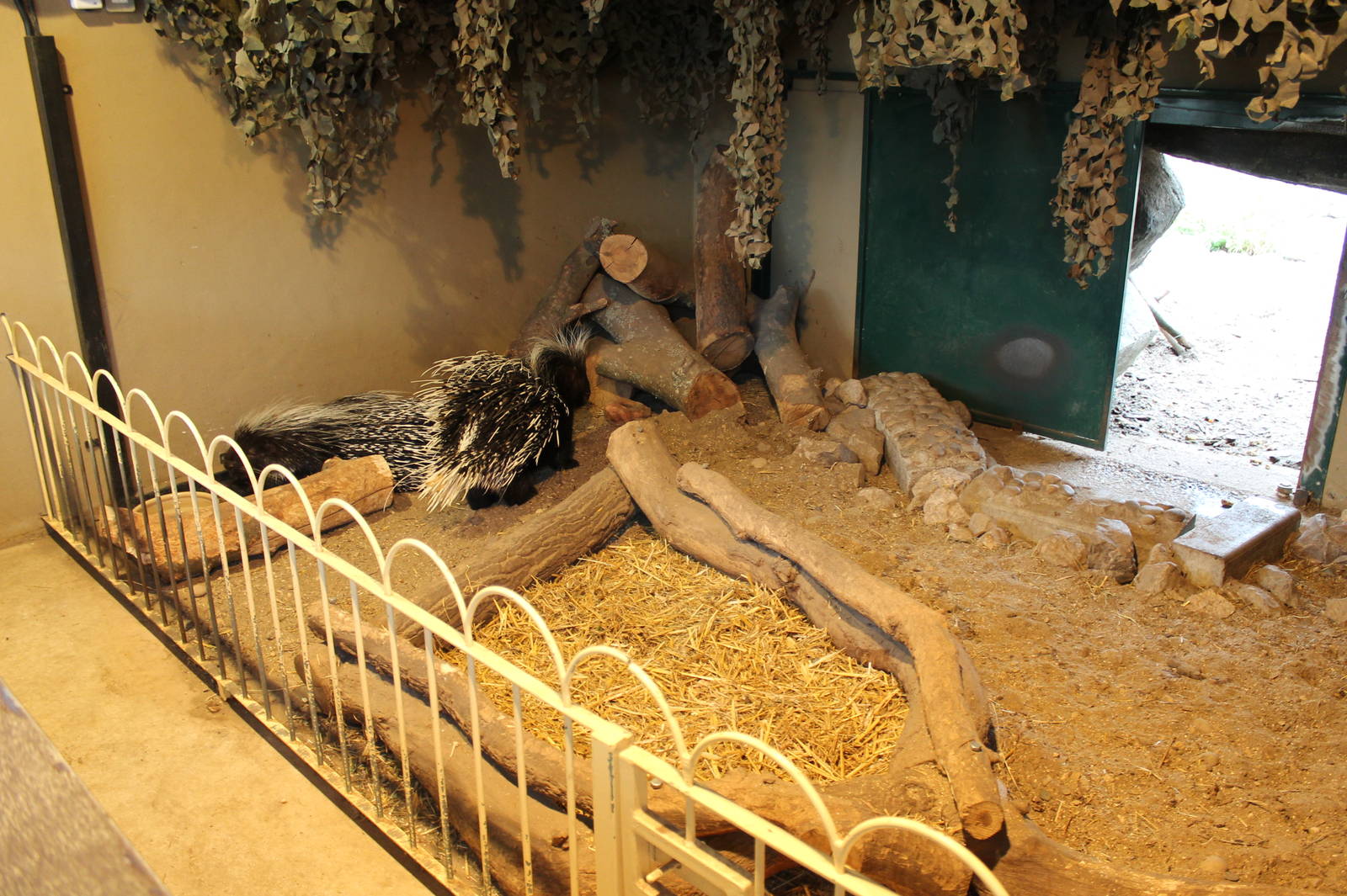 Porcupine Inside Area