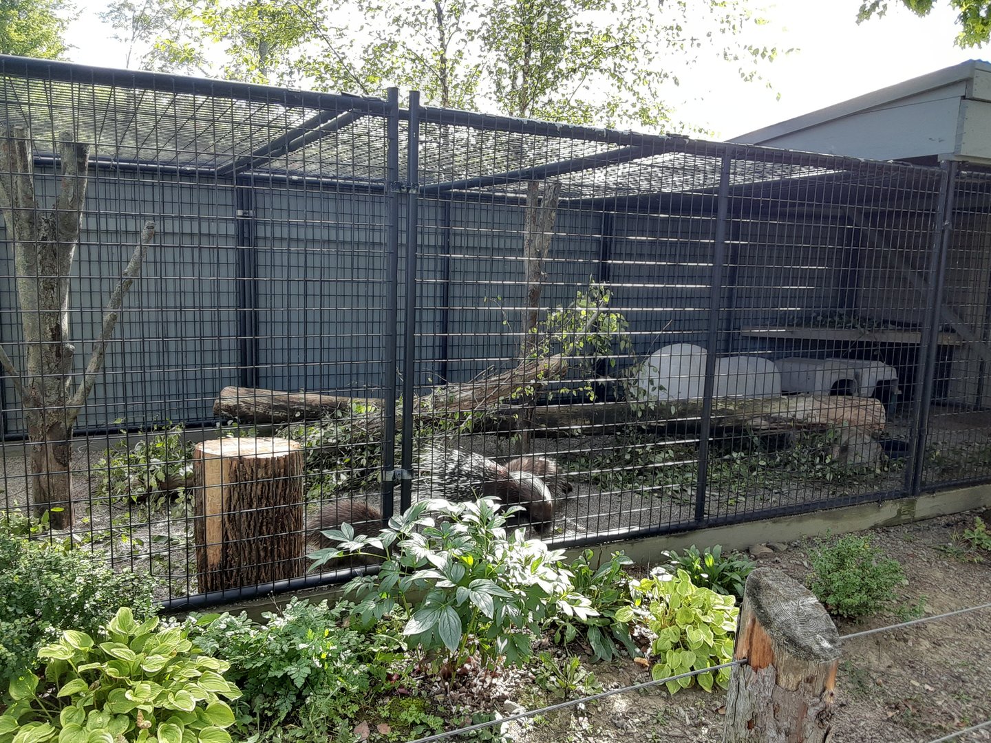 Porcupine Mixed Species Habitat