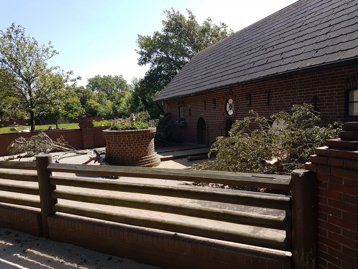 Porcupine outdoor-enclosure