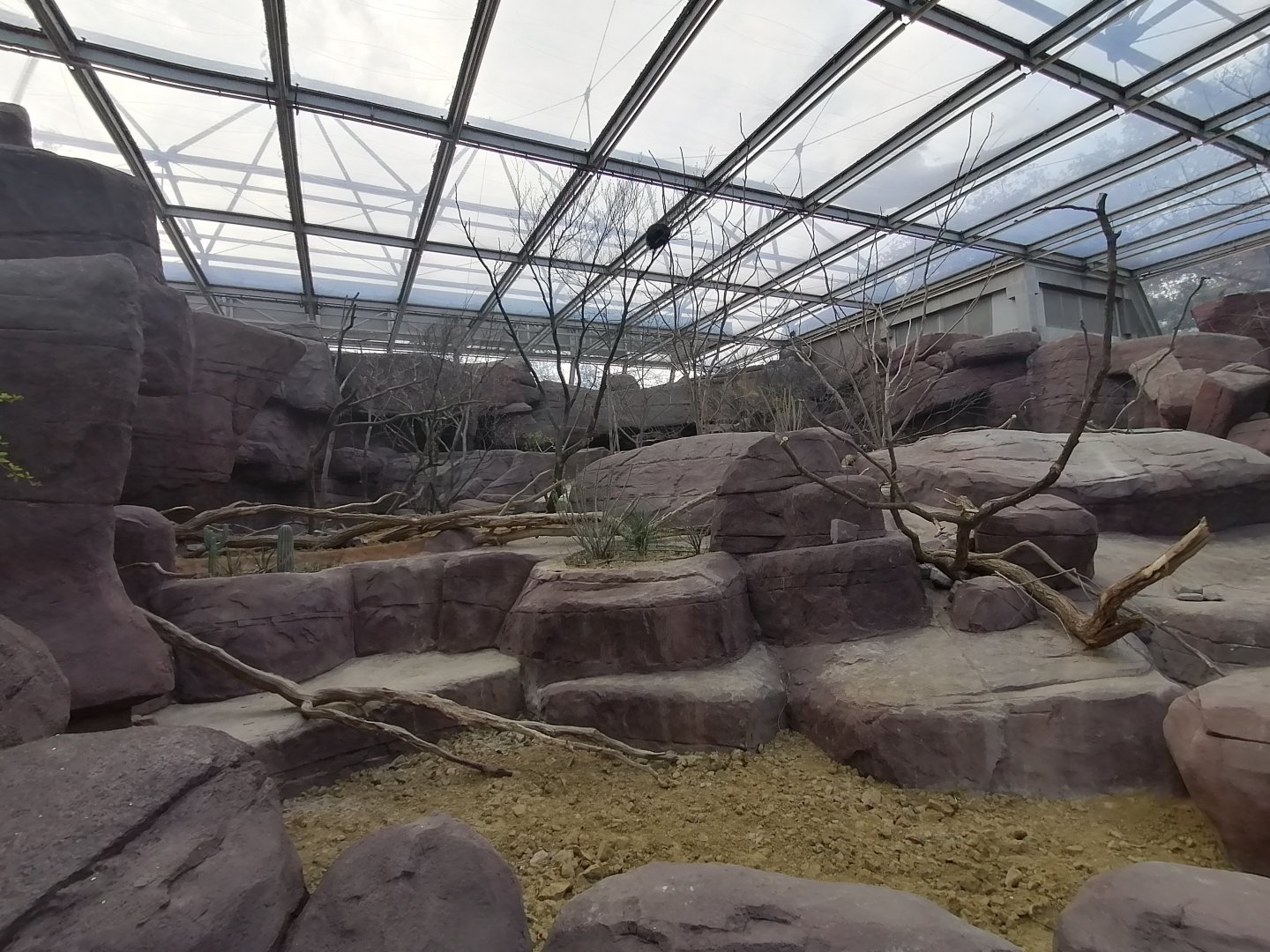 Porcupine & Prairie-dog enclosure