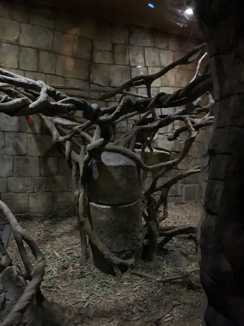 Porcupine/Ringtail exhibit - Nocturnal House