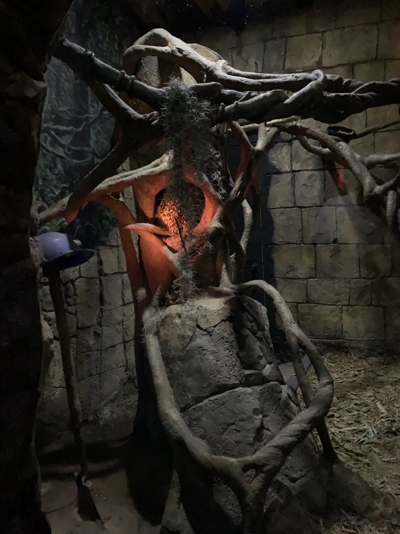 Porcupine/Ringtail exhibit - Nocturnal House