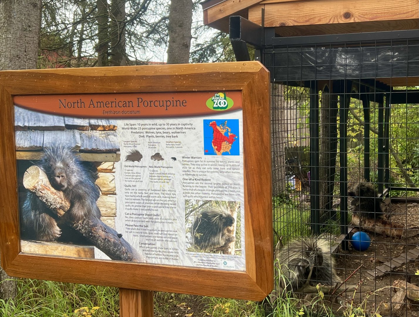 Porcupine sign and enclosure