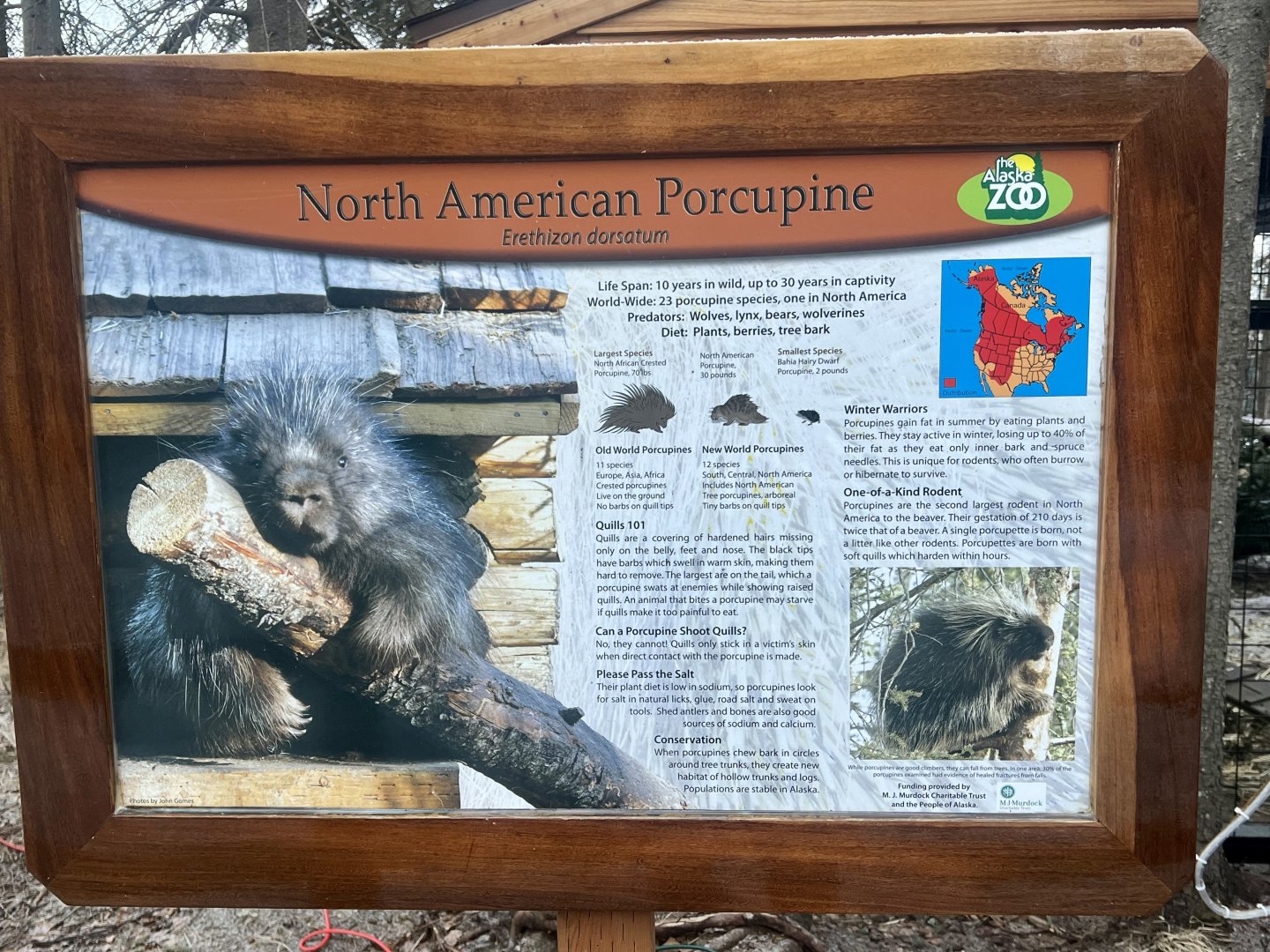 Porcupine Sign