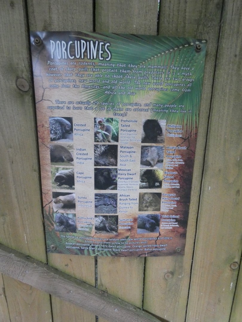 Porcupine signage
