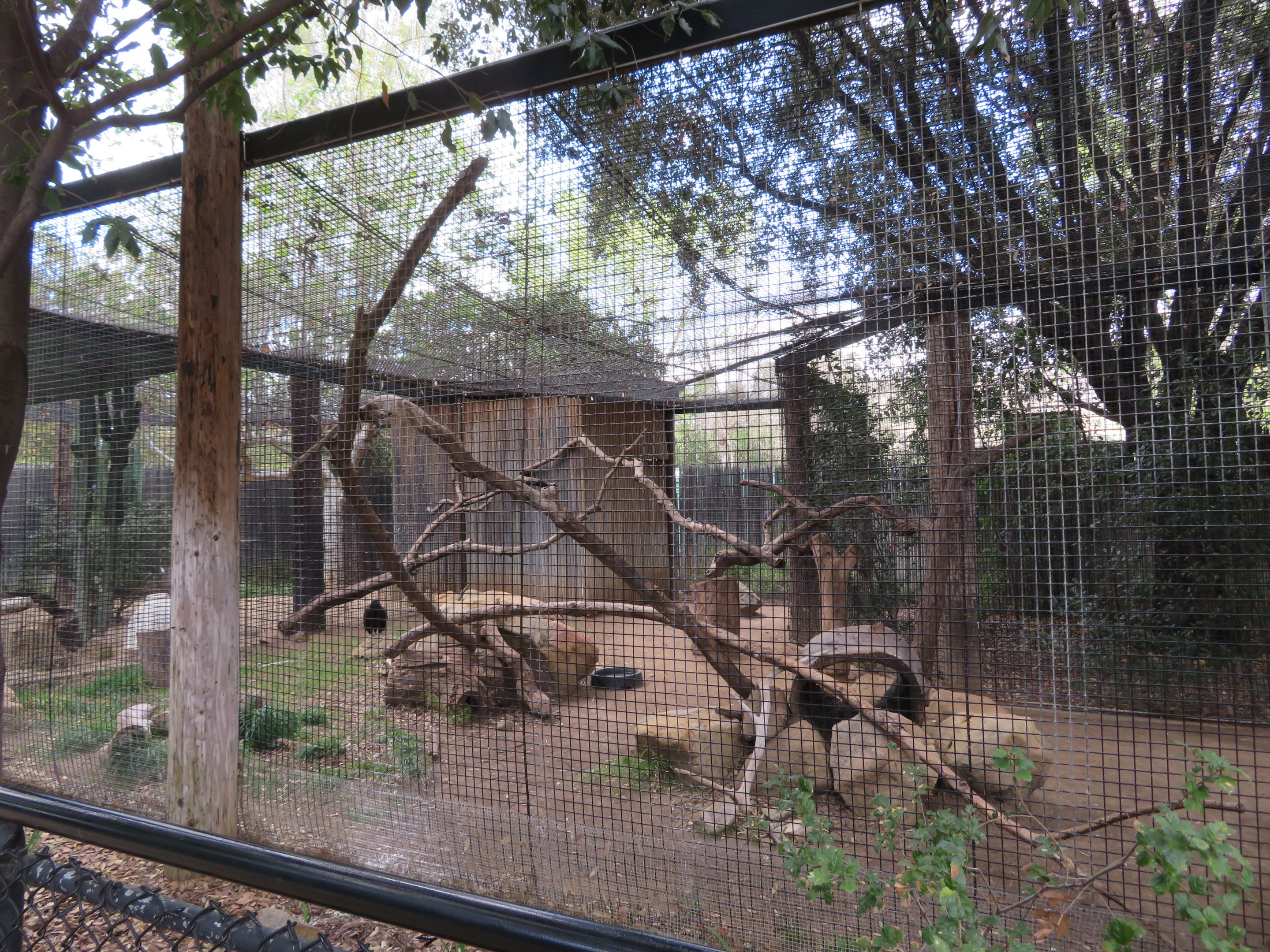 Porcupine/Vulture Exhibit
