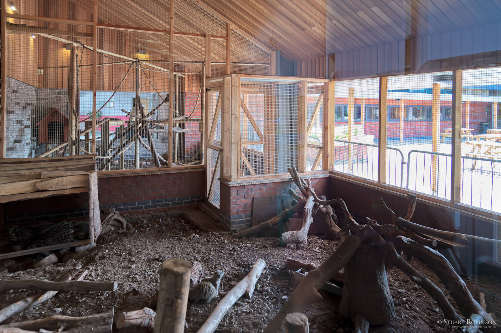 Porcupines/Meerkats and Coatis - 23/07/2011