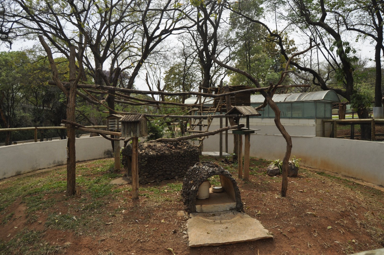 Porcupines, tamandua and aguti enclosure