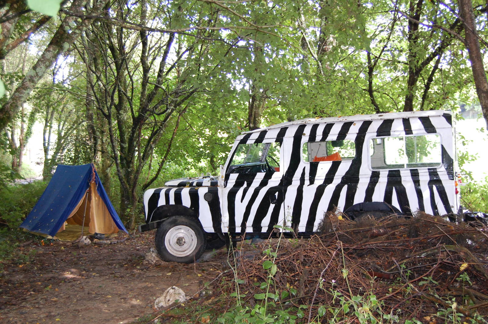 Porfell Wildlife Park and Sanctuary