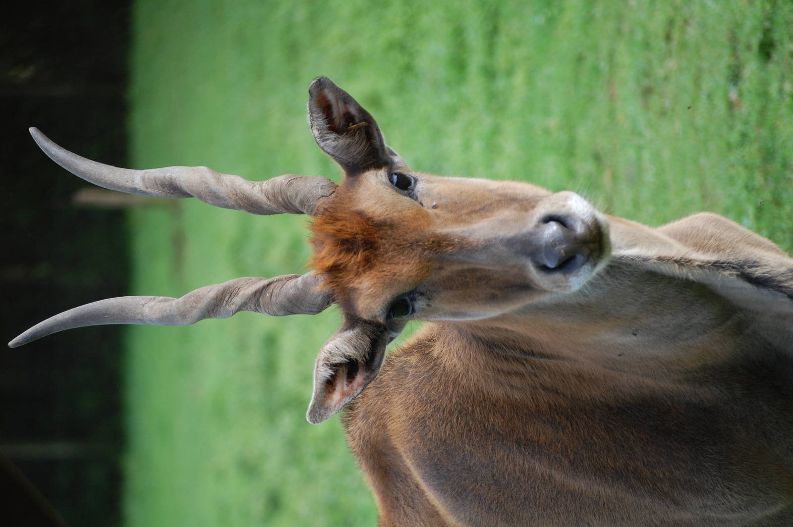 Porfell Wildlife Park and Sanctuary