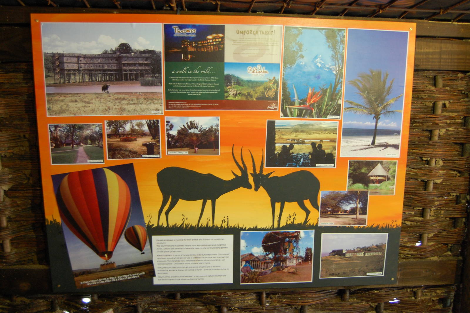 Porfell Wildlife Park and Sanctuary