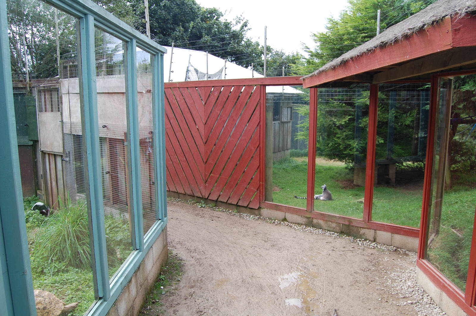 Porfell Wildlife Park and Sanctuary