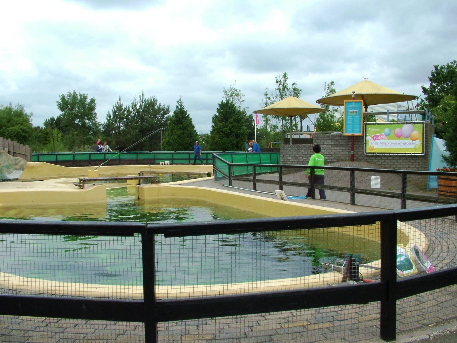 Porpoise Bay at Harderwijk, 01/06/12