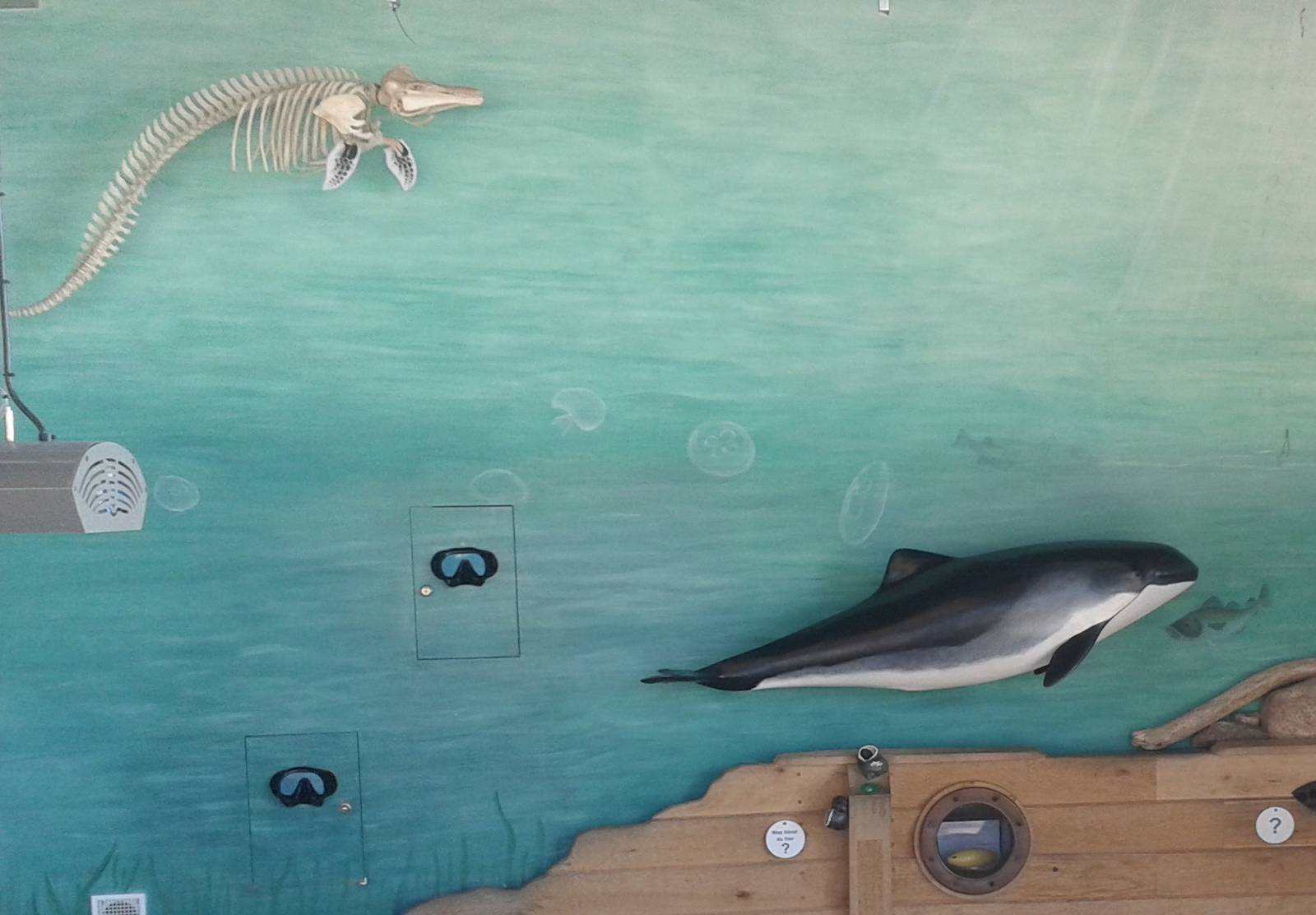 Porpoise info-wall