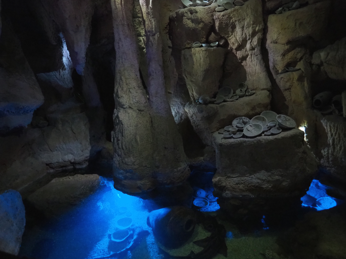 Port Jackson shark, Wobbegong and Bamboo shark tank in cave, 2020-09-03
