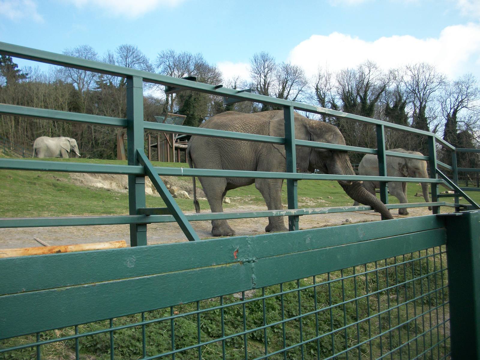 Port Lympne - All three together