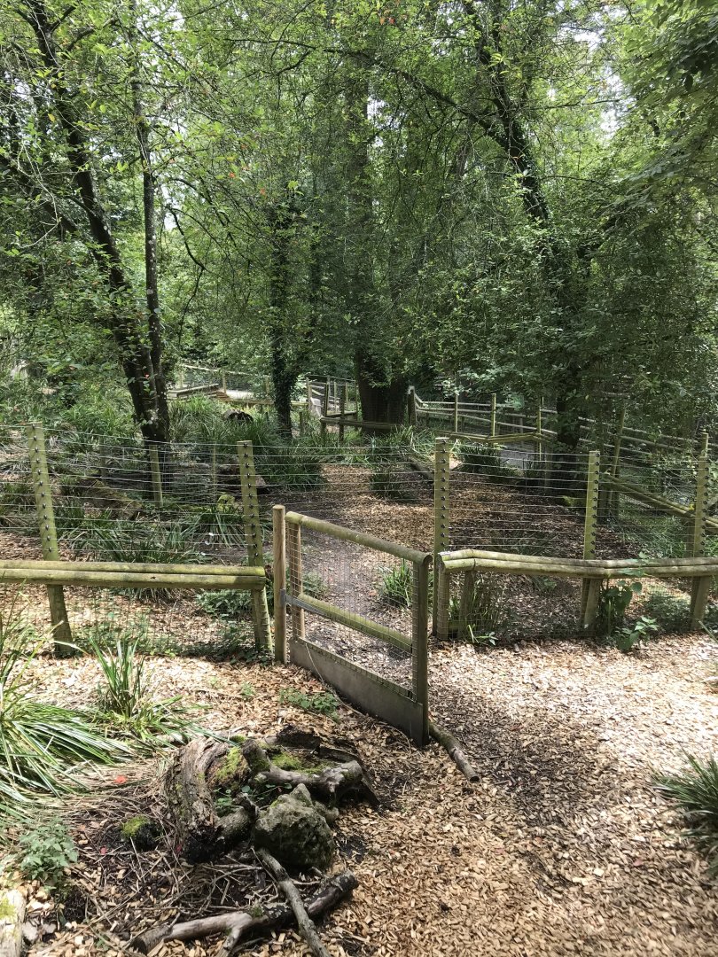 Port Lympne Hotel and Reserve - 26.07.2020