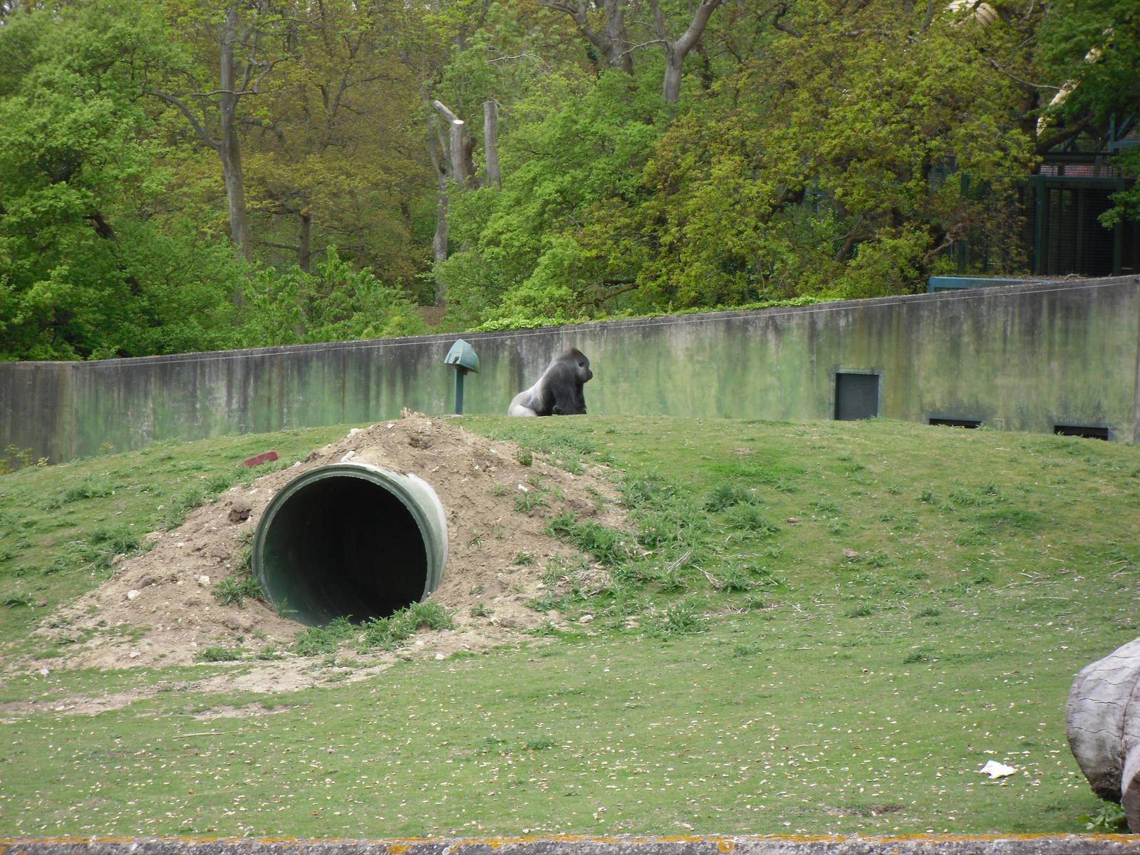 Port Lympne Wild Animal Park 16th May 2010