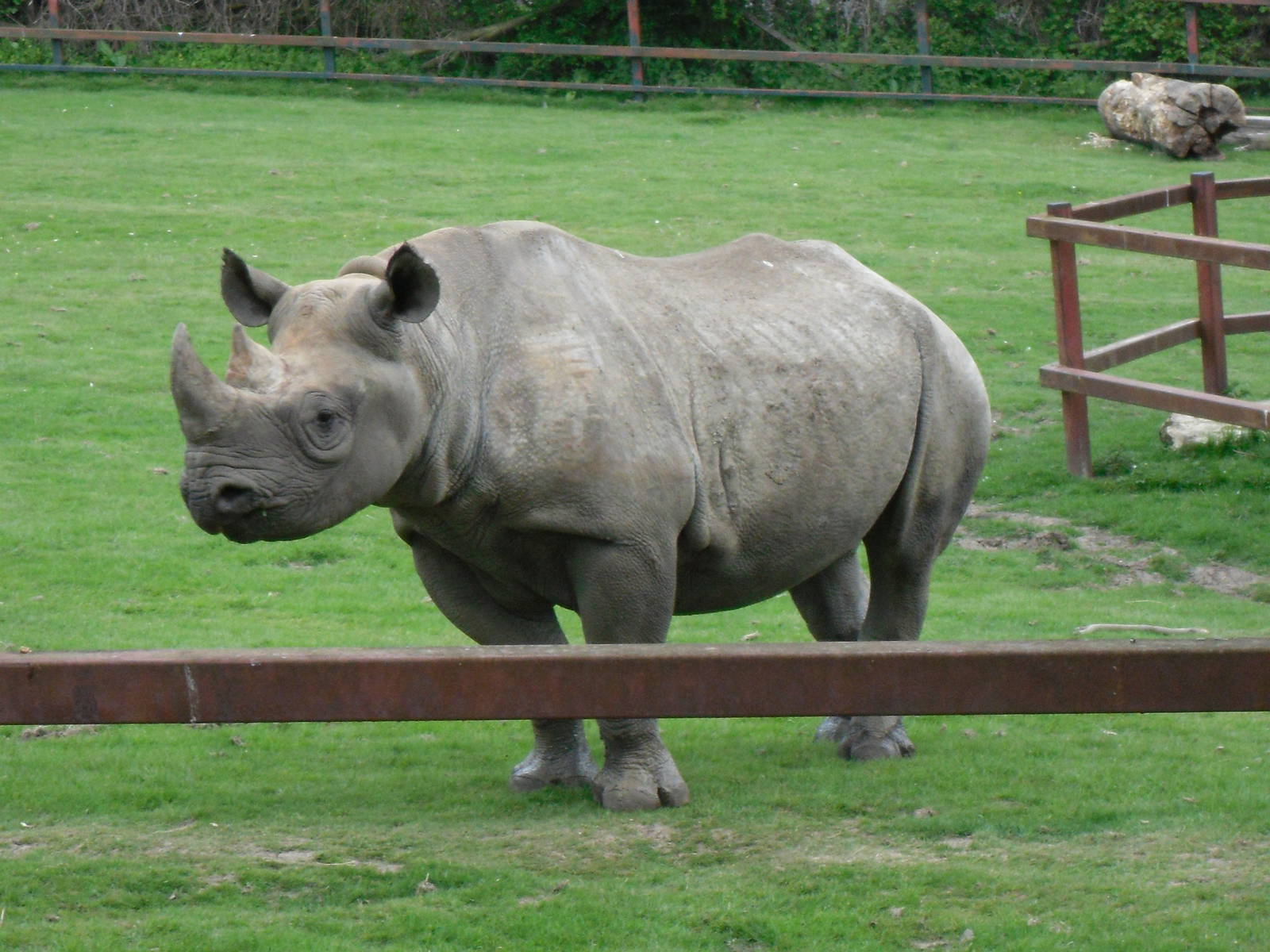 Port Lympne Wild Animal Park 16th May 2010