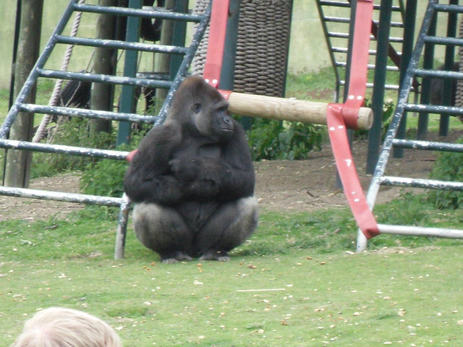 Port Lympne Wild Animal Park 16th May 2010