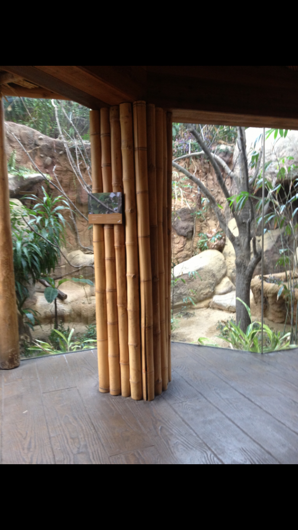 PortaRican Parrot Exhibit