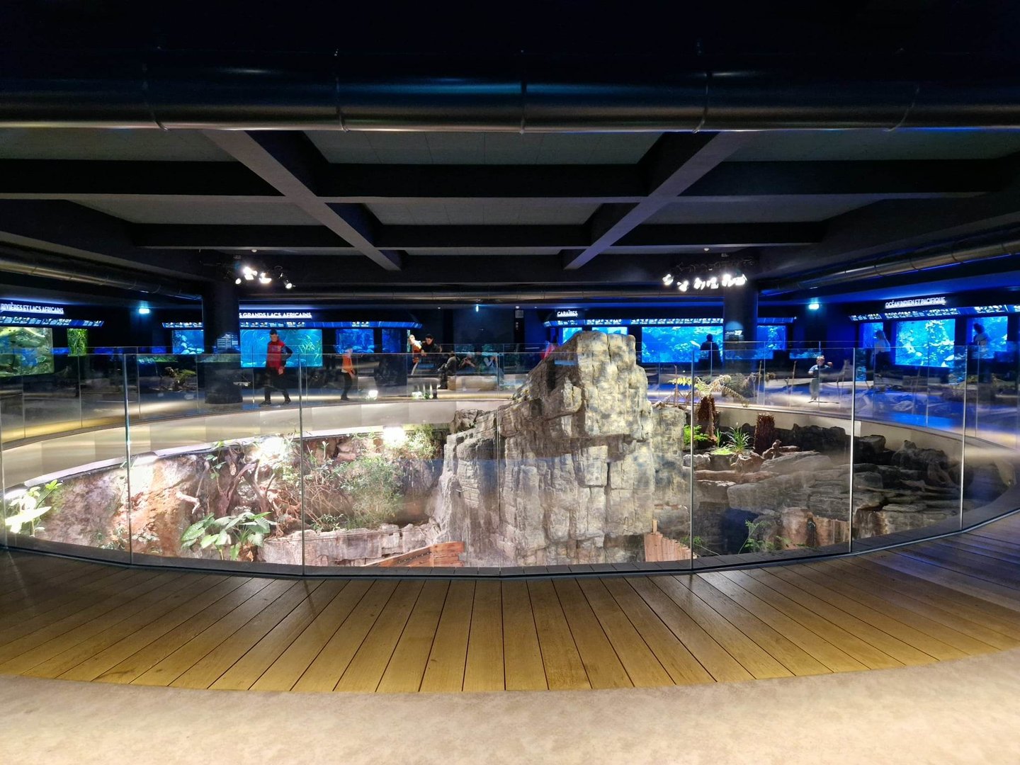 Porte Doree Aquarium