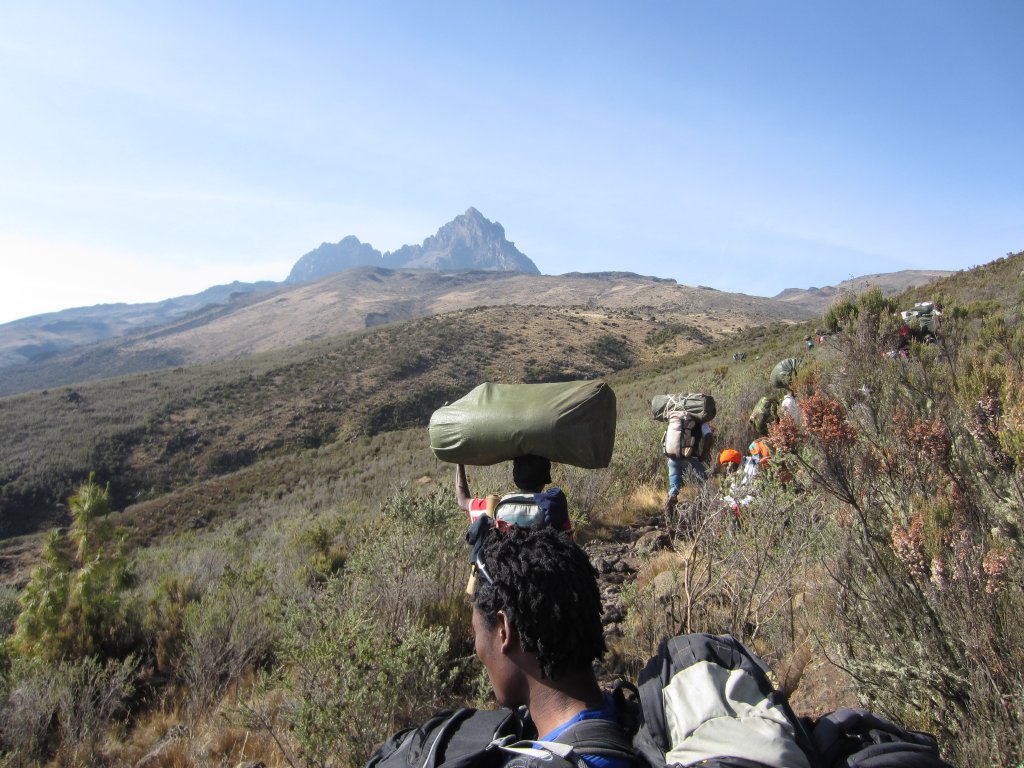 Porters headed towards Mawenzi