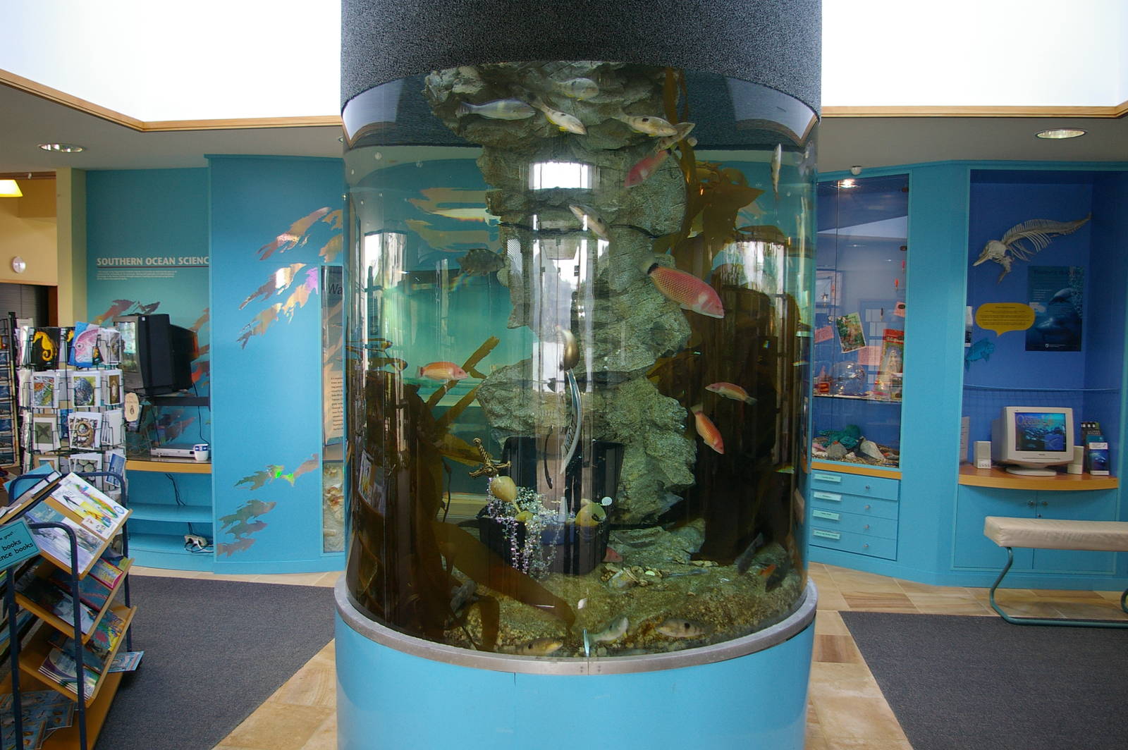 Portobello Aquarium, Dunedin